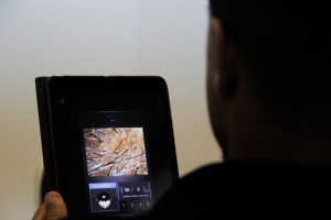 Foto de Prueba complementaria